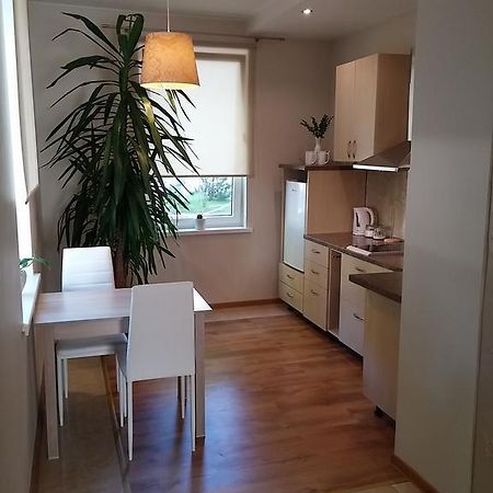 Jaukus Butas Siauliu Miesto Centre Appartement Šiauliai Buitenkant foto