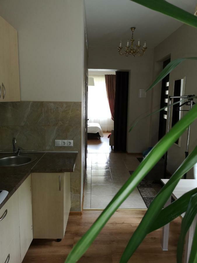 Jaukus Butas Siauliu Miesto Centre Appartement Šiauliai Buitenkant foto