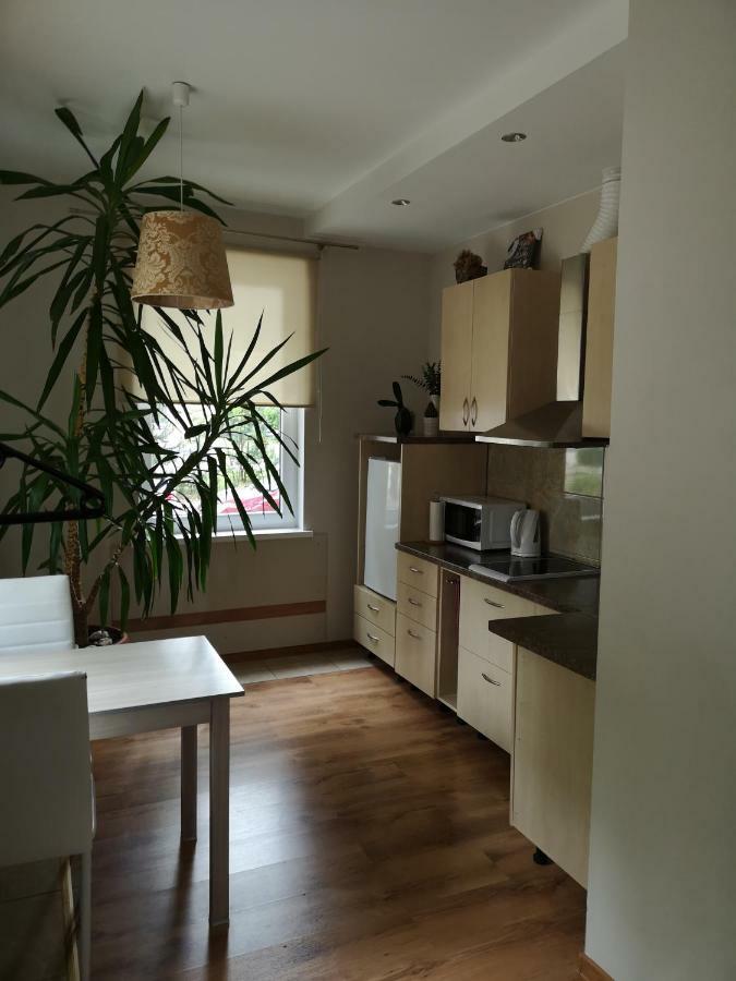 Jaukus Butas Siauliu Miesto Centre Appartement Šiauliai Buitenkant foto